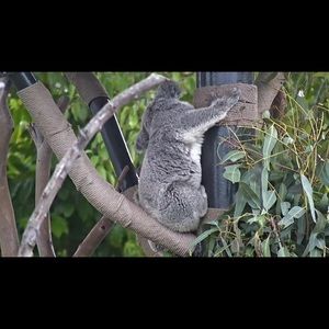 Meet your Posher, Lucy